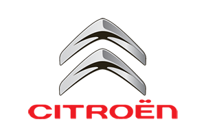 Fahrzeugspezifischer Elektrosatz für CITROEN C2