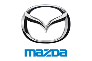 Fahrzeugspezifischer Elektrosatz für MAZDA CX-60