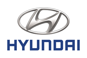 Fahrzeugspezifischer Elektrosatz für HYUNDAI Ioniq Hybrid, 2017, 2018, 2019, 2020, 2021, 2022, 2023