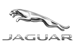 Fahrzeugspezifischer Elektrosatz für JAGUAR I- Pace, 2021, 2022, 2023